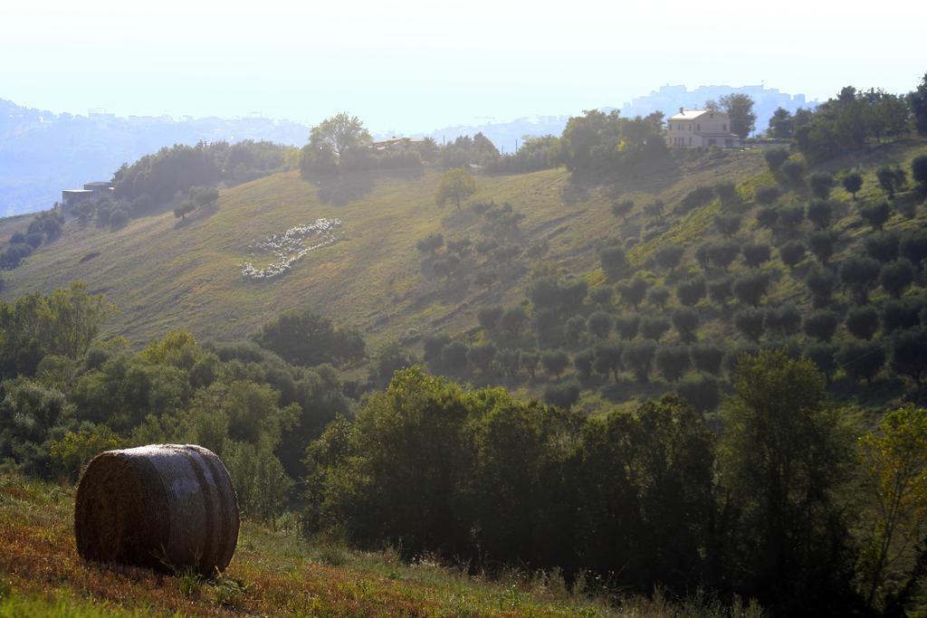 Готель Agriturismo Fara Montegiorgio Екстер'єр фото