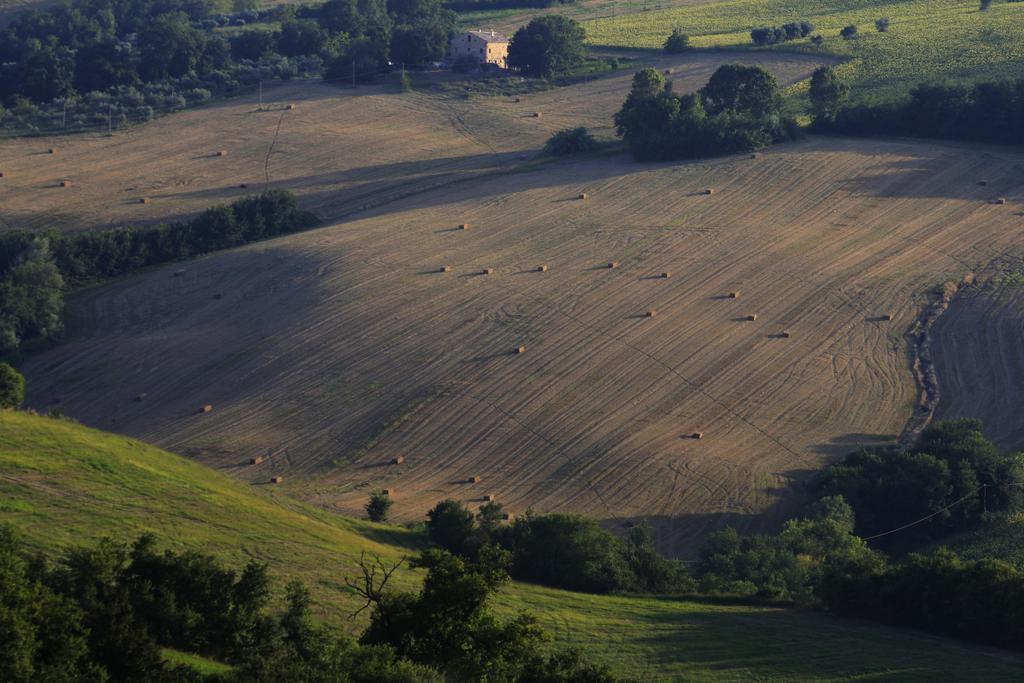 Готель Agriturismo Fara Montegiorgio Екстер'єр фото